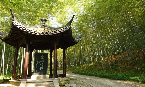 bamboo-lined- Path-at-Yunqi bamboo-lined- Path-at-Yunqi